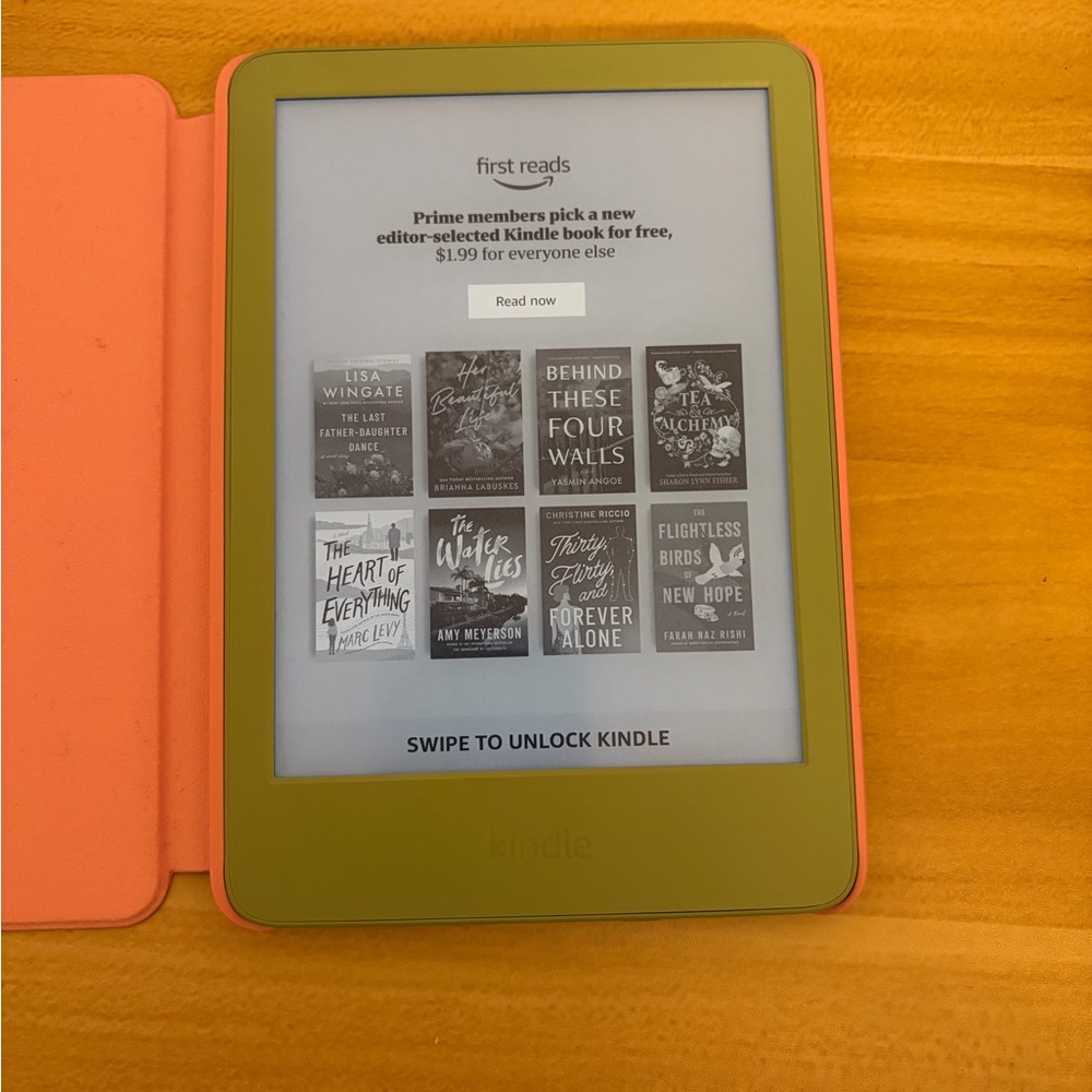 Kindle E-Reader - Olive Green and Coral